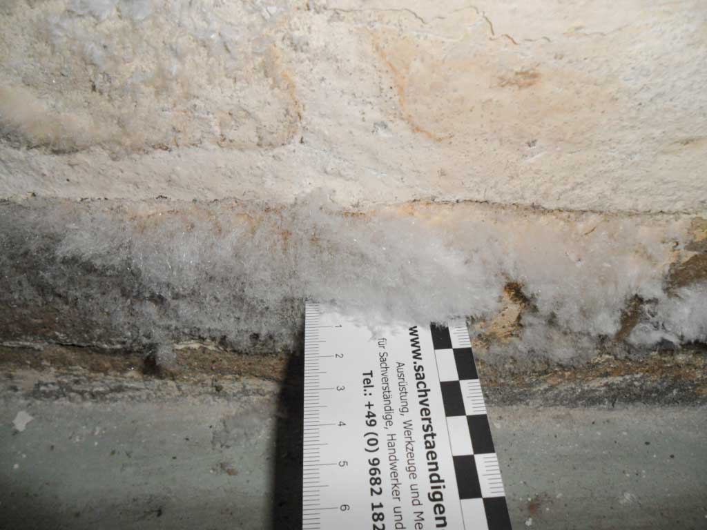 Salzausblühungen an erdberührtem Mauerwerk